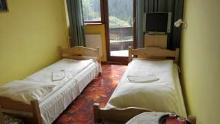 Отели типа «постель и завтрак» Piecuch Карпач Стандартный двухместный номер с 2 отдельными кроватями-4